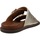 Sapatos Mulher Sandálias Alpe 5447 61 Ouro