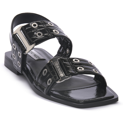 Sapatos Mulher Sandálias Steve Madden SARIA PLK Preto