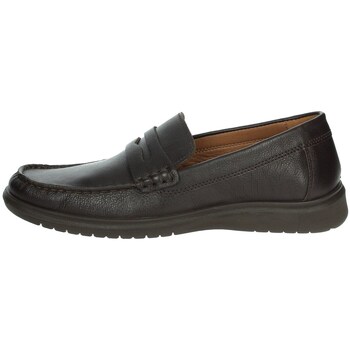 Sapatos Homem Mocassins Imac 751160 Castanho