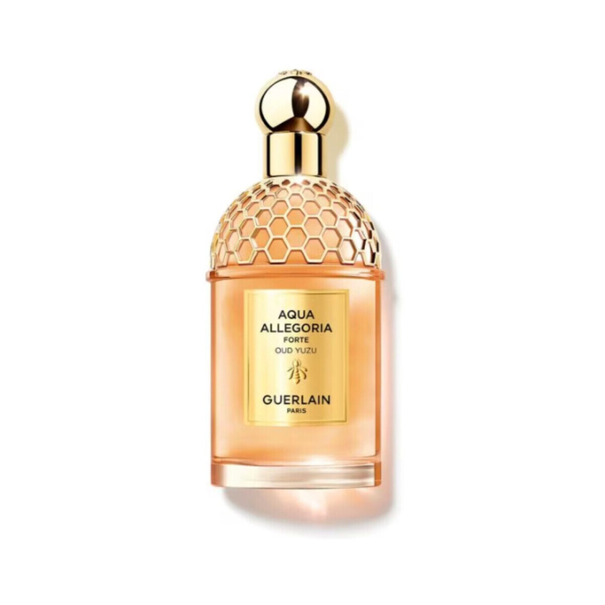 beleza Mulher Eau de parfum  Guerlain Parfum Aqua Allegoria Oud Yuzu Forte 125 ml Outros