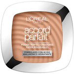 Perfecting Melting Powder True Match - 5.D Sable Doré