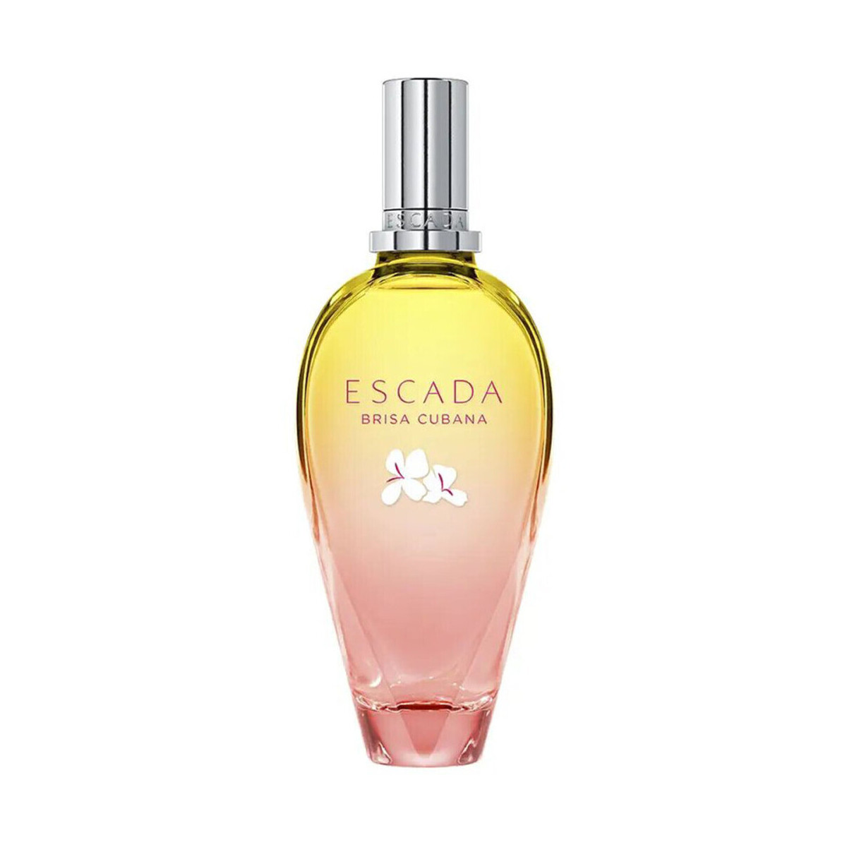 beleza Mulher Eau de toilette  Escada Cuban Breeze Eau de Toilette 100 ml Outros