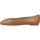 Sapatos Mulher Sabrinas Liu Jo DAFNE 04 Castanho