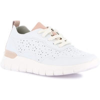 Sapatos Mulher Sapatilhas Grunland DSG-SC0196 Branco