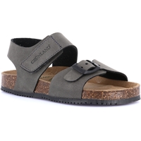 Sapatos Criança Sandálias Grunland DSG-SB1162 Cinza