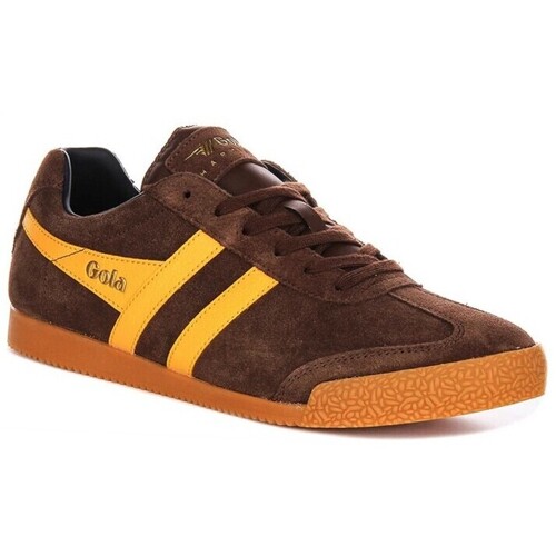 Sapatos Homem Sapatilhas Gola SNEAKERS  HARRIER Castanho
