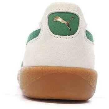Puma  Verde