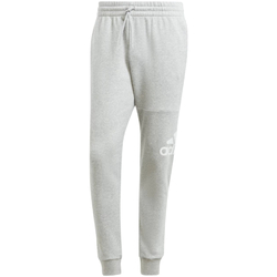 Textil Homem Calças de treino adidas Originals adidas Big Logo Fleece Sweat Pants Cinza