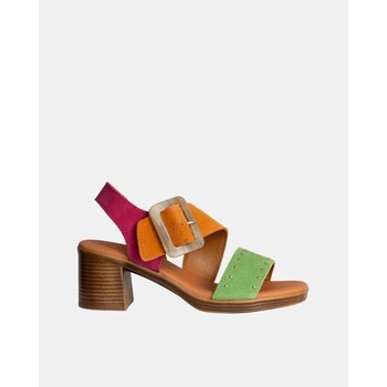 Sapatos Mulher Sandálias Rks 122447 Multicolor