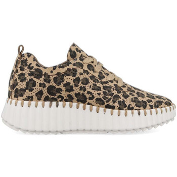 Sapatos Mulher Sapatos & Richelieu Walk & Fly AH-9837 A5 Multicolor