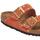 Sapatos Mulher Sandálias BIRKENSTOCK  Laranja