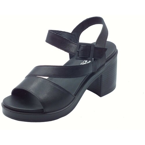 Sapatos Mulher Sandálias IgI&CO 7674200 Capra Tamponata Preto