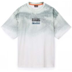 Textil Homem T-shirts e Pólos Napapijri S-TORA - NP0A4IEKN1A1-AOP Cinza