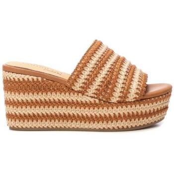 Sapatos Mulher Chinelos Carmela 16223703 Castanho