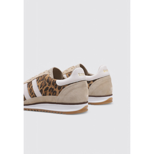 Limma ARES Multicolor