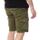 Textil Homem Shorts / Bermudas Paname Brothers  Verde