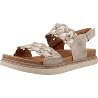 Sapatos Mulher Sandálias Clarks ARWELL GLIDE Cinza