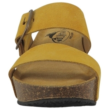 Plakton SO ROCK AFELPADO OCRE 648-X CREPE Jaune Amarelo
