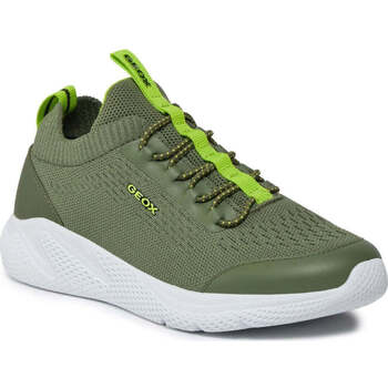 Sapatos Rapaz Sapatilhas Geox  Verde