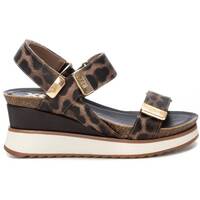 Sapatos Mulher Sandálias Xti 14459202 Castanho