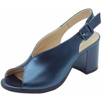 Sapatos Mulher Sandálias NeroGiardini E513451D Laminato Azul