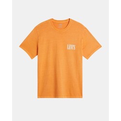 Textil Homem T-Shirt mangas curtas Levi's 16143 1684 RELAXED FIT Amarelo