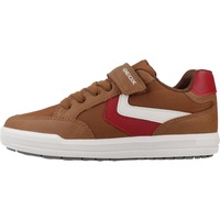 Sapatos Rapaz Sapatilhas Geox J ARZACH BOY Castanho