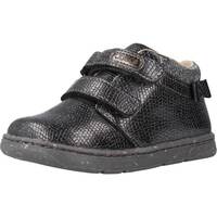 Sapatos Rapariga Sapatos & Richelieu Chicco GOLDA Cinza
