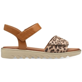 Sapatos Mulher Sandálias Jana 82827544 Castanho