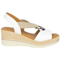 Sapatos Mulher Sandálias Zapp 1612 Branco