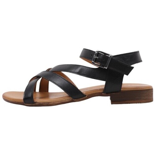 Sapatos Mulher Sandálias Sandra Fontan CANAPA Preto