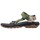 Sapatos Homem Sandálias Teva HURRICANE XLT2 Multicolor