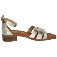 Sapatos Mulher Sandálias Oh My Sandals  