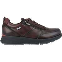Sapatos Homem Sapatilhas Pikolinos Cordoba Castanho