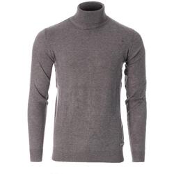 Textil Homem camisolas Best Mountain  Cinza