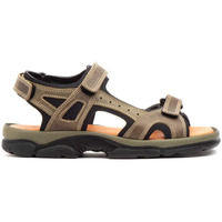 Sapatos Mulher Sandálias Morxiva Shoes Morxiva : Sandálias californianas em pele taupe : Mulher Cáqui