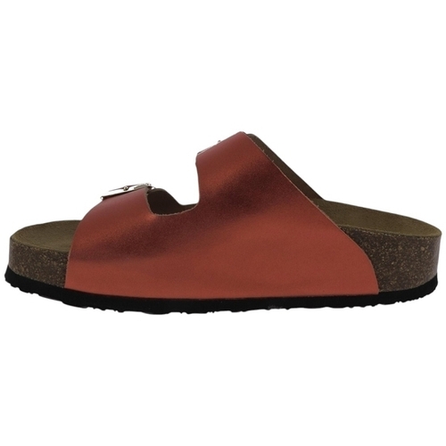 Plakton 340010 Laranja