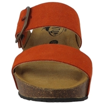 Plakton SO ROCK AFELPADO CALABAZA 534-X C Orange Laranja