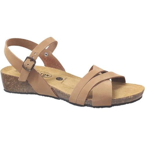 Sapatos Mulher Sandálias Plakton Norte Castanho