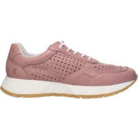 Sapatos Mulher Sapatilhas Salamander  Rosa