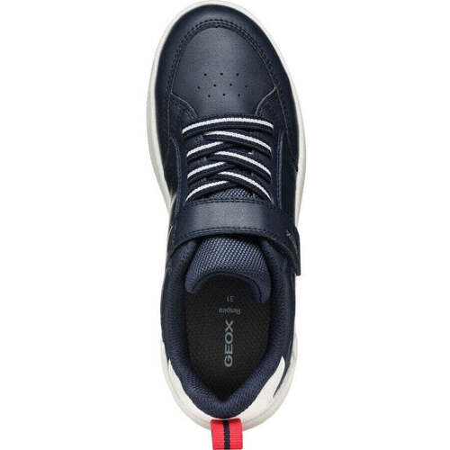 Geox  Azul