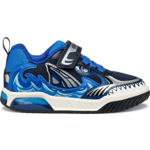 Geox  Azul