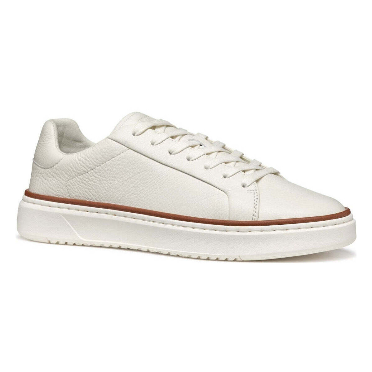 Sapatos Homem Sapatilhas Geox  Branco