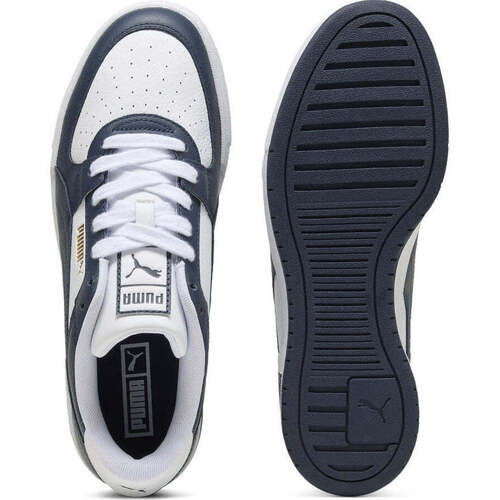 Puma  Azul