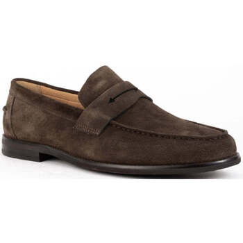 Sapatos Homem Mocassins Sergio Moretti  Castanho