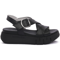 Sapatos Mulher Sandálias NeroGiardini NERO GIARDINI  100 TAMIGI NERO Preto