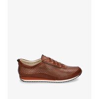 Sapatos Homem Sapatos & Richelieu Pikolinos M2A-6252 Castanho