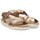 Sapatos Mulher Sandálias Armony 80668 Castanho