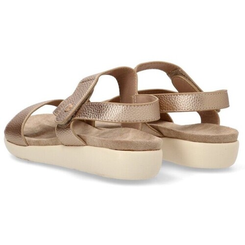 Armony 80668 Castanho