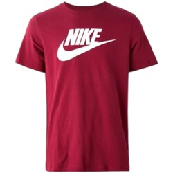 Textil Homem T-Shirt mangas curtas Nike AR5004 Bordô